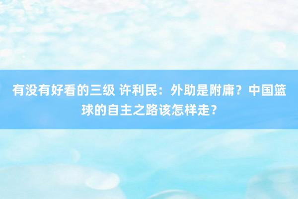 有没有好看的三级 许利民：外助是附庸？中国篮球的自主之路该怎样走？