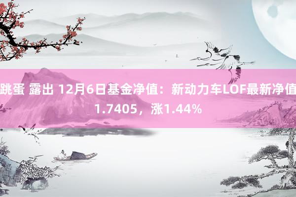 跳蛋 露出 12月6日基金净值：新动力车LOF最新净值1.7405，涨1.44%