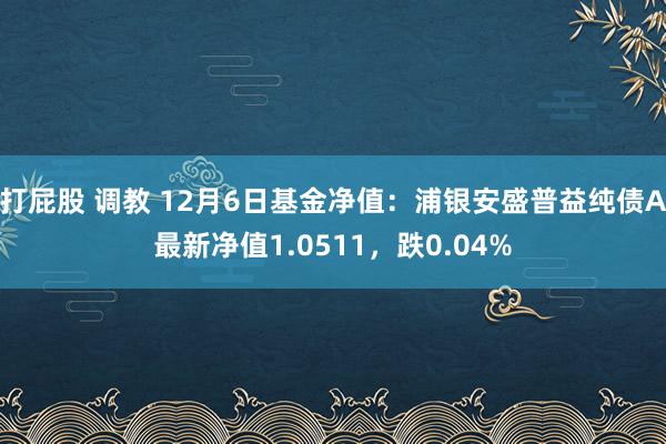 打屁股 调教 12月6日基金净值：浦银安盛普益纯债A最新净值1.0511，跌0.04%