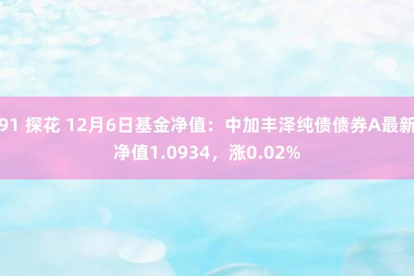 91 探花 12月6日基金净值：中加丰泽纯债债券A最新净值1.0934，涨0.02%