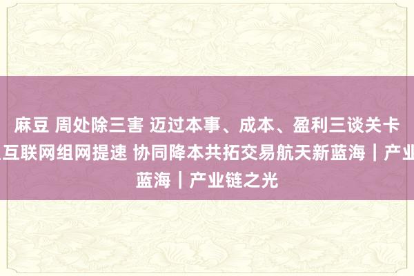 麻豆 周处除三害 迈过本事、成本、盈利三谈关卡——卫星互联网组网提速 协同降本共拓交易航天新蓝海｜产业链之光