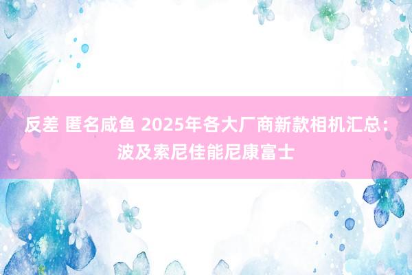 反差 匿名咸鱼 2025年各大厂商新款相机汇总：波及索尼佳能尼康富士