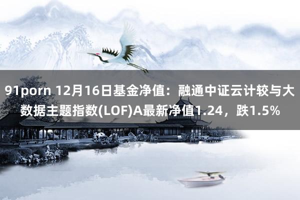 91porn 12月16日基金净值：融通中证云计较与大数据主题指数(LOF)A最新净值1.24，跌1.5%