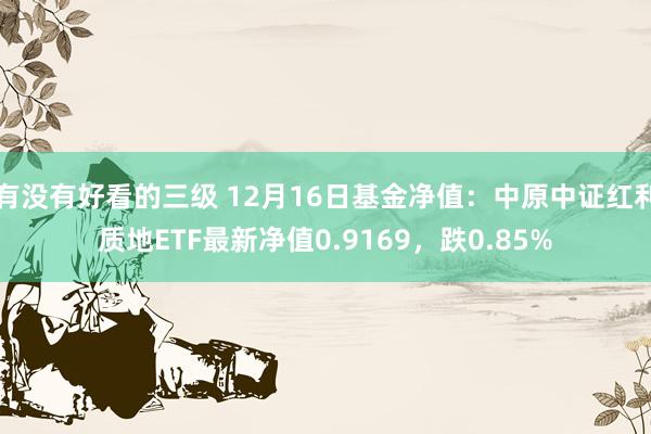 有没有好看的三级 12月16日基金净值：中原中证红利质地ETF最新净值0.9169，跌0.85%