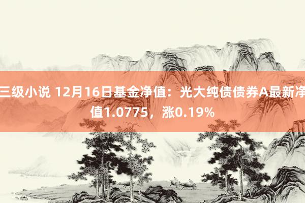 三级小说 12月16日基金净值：光大纯债债券A最新净值1.0775，涨0.19%