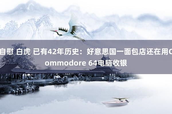 自慰 白虎 已有42年历史：好意思国一面包店还在用Commodore 64电脑收银