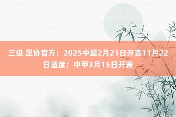 三级 足协官方：2025中超2月21日开赛11月22日适度；中甲3月15日开赛