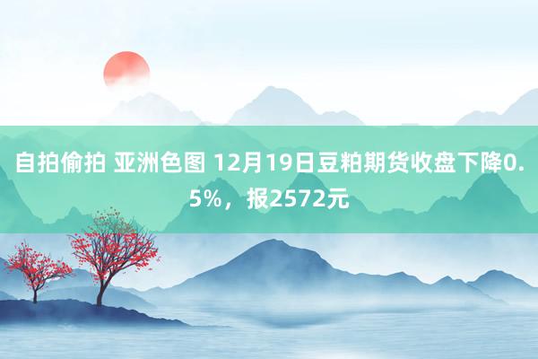 自拍偷拍 亚洲色图 12月19日豆粕期货收盘下降0.5%，报2572元