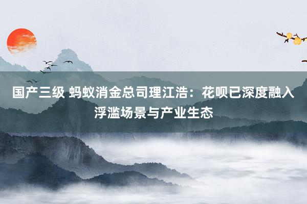 国产三级 蚂蚁消金总司理江浩：花呗已深度融入浮滥场景与产业生态