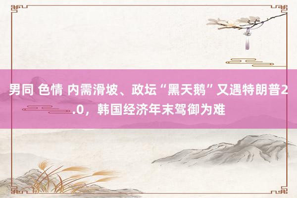 男同 色情 内需滑坡、政坛“黑天鹅”又遇特朗普2.0，韩国经济年末驾御为难