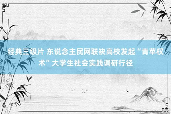 经典三级片 东说念主民网联袂高校发起“青苹权术”大学生社会实践调研行径