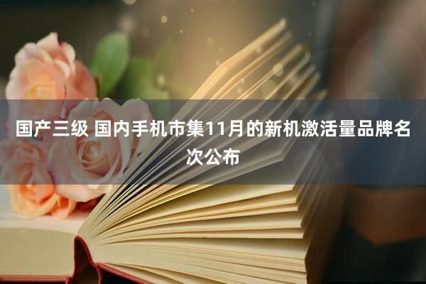 国产三级 国内手机市集11月的新机激活量品牌名次公布