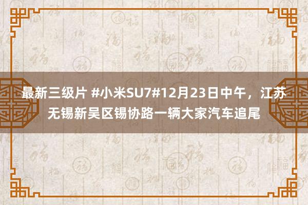 最新三级片 #小米SU7#12月23日中午，江苏无锡新吴区锡协路一辆大家汽车追尾