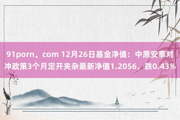 91porn。com 12月26日基金净值：中原安泰对冲政策3个月定开夹杂最新净值1.2056，跌0.43%