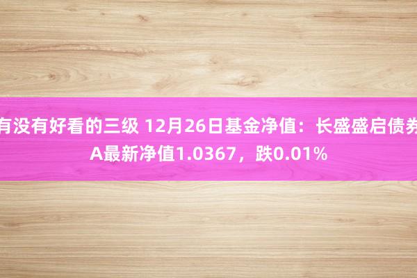 有没有好看的三级 12月26日基金净值：长盛盛启债券A最新净值1.0367，跌0.01%