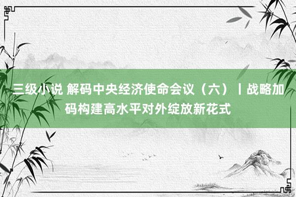 三级小说 解码中央经济使命会议（六）丨战略加码构建高水平对外绽放新花式