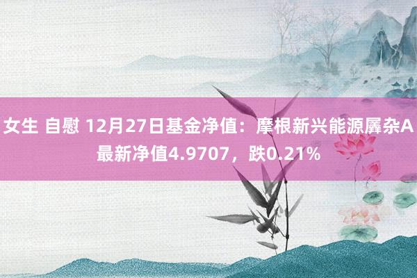 女生 自慰 12月27日基金净值：摩根新兴能源羼杂A最新净值4.9707，跌0.21%