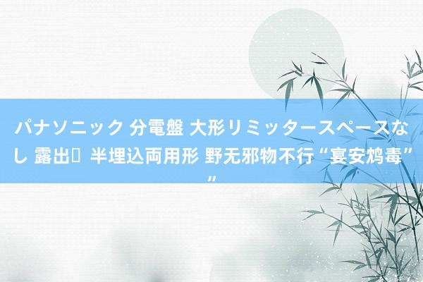 パナソニック 分電盤 大形リミッタースペースなし 露出・半埋込両用形 野无邪物不行“宴安鸩毒”