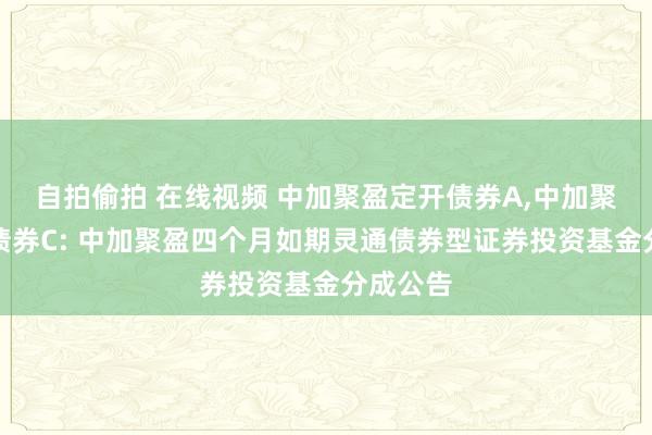 自拍偷拍 在线视频 中加聚盈定开债券A，中加聚盈定开债券C: 中加聚盈四个月如期灵通债券型证券投资基金分成公告