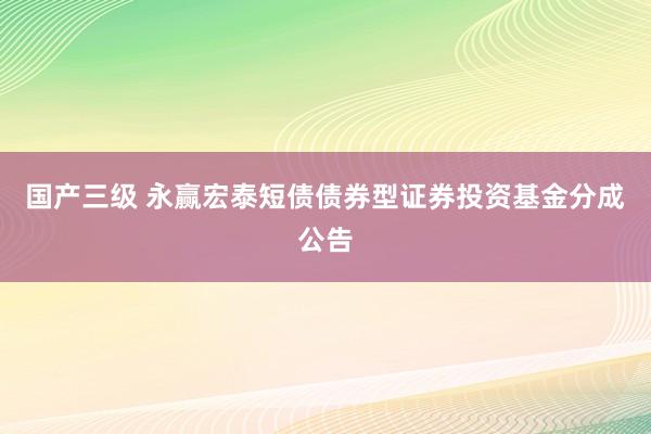 国产三级 永赢宏泰短债债券型证券投资基金分成公告