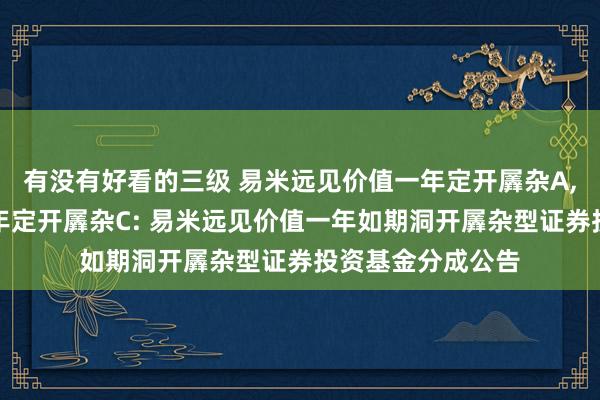 有没有好看的三级 易米远见价值一年定开羼杂A，易米远见价值一年定开羼杂C: 易米远见价值一年如期洞开羼杂型证券投资基金分成公告