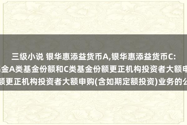 三级小说 银华惠添益货币A，银华惠添益货币C: 银华惠添益货币市集基金A类基金份额和C类基金份额更正机构投资者大额申购(含如期定额投资)业务的公告