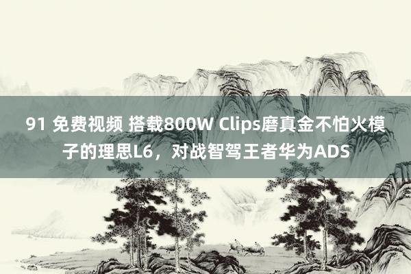 91 免费视频 搭载800W Clips磨真金不怕火模子的理思L6，对战智驾王者华为ADS