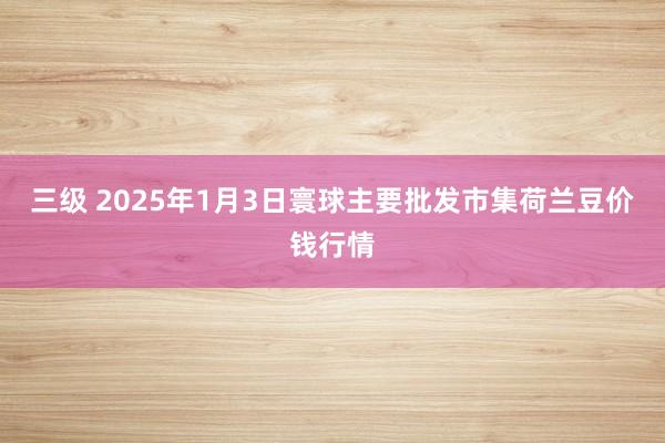 三级 2025年1月3日寰球主要批发市集荷兰豆价钱行情