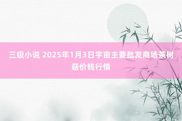 三级小说 2025年1月3日宇宙主要批发商场茶树菇价钱行情