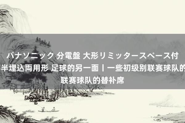 パナソニック 分電盤 大形リミッタースペース付 露出・半埋込両用形 足球的另一面丨一些初级别联赛球队的替补席