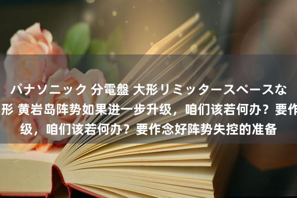 パナソニック 分電盤 大形リミッタースペースなし 露出・半埋込両用形 黄岩岛阵势如果进一步升级，咱们该若何办？要作念好阵势失控的准备