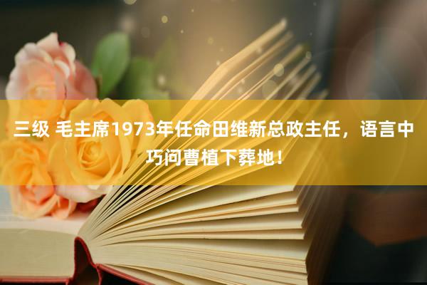 三级 毛主席1973年任命田维新总政主任，语言中巧问曹植下葬地！