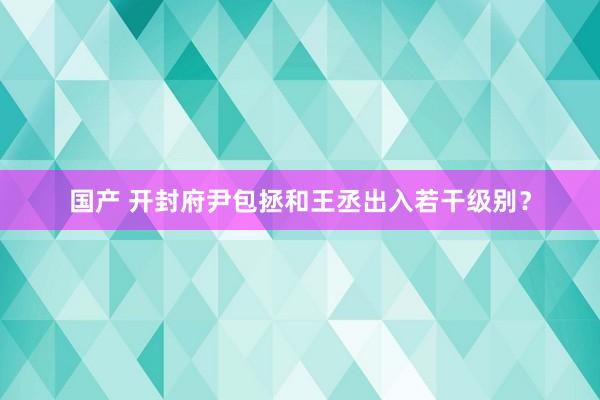 国产 开封府尹包拯和王丞出入若干级别？