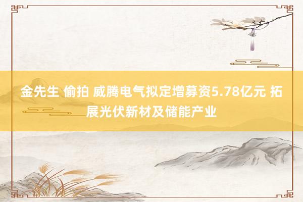 金先生 偷拍 威腾电气拟定增募资5.78亿元 拓展光伏新材及储能产业