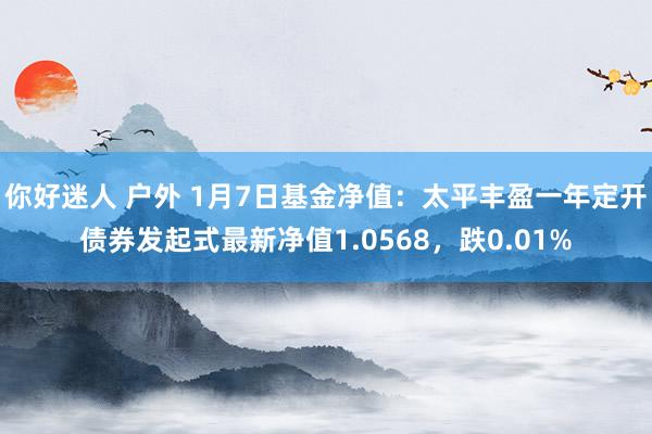 你好迷人 户外 1月7日基金净值：太平丰盈一年定开债券发起式最新净值1.0568，跌0.01%