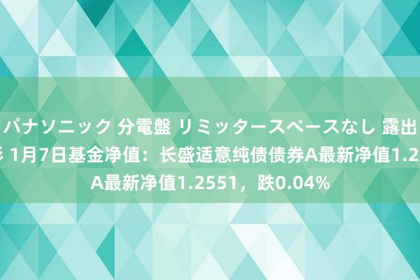 パナソニック 分電盤 リミッタースペースなし 露出・半埋込両用形 1月7日基金净值：长盛适意纯债债券A最新净值1.2551，跌0.04%