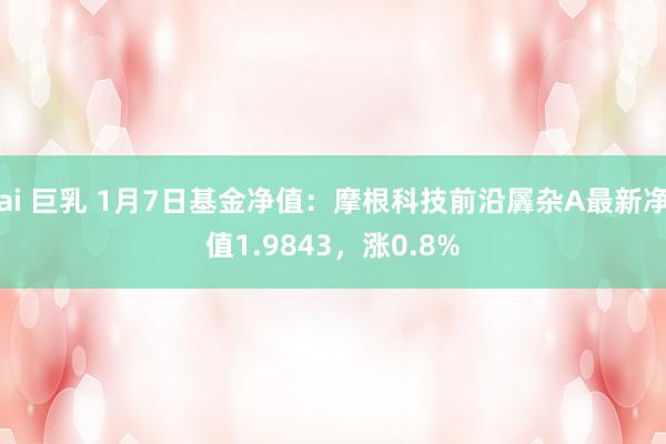 ai 巨乳 1月7日基金净值：摩根科技前沿羼杂A最新净值1.9843，涨0.8%