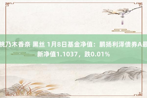 桃乃木香奈 黑丝 1月8日基金净值：鹏扬利泽债券A最新净值1.1037，跌0.01%