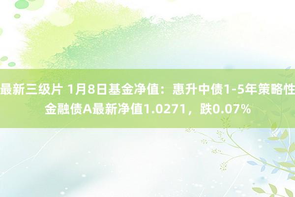 最新三级片 1月8日基金净值：惠升中债1-5年策略性金融债A最新净值1.0271，跌0.07%