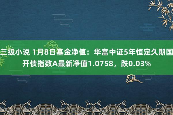 三级小说 1月8日基金净值：华富中证5年恒定久期国开债指数A最新净值1.0758，跌0.03%