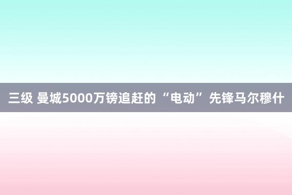 三级 曼城5000万镑追赶的 “电动” 先锋马尔穆什