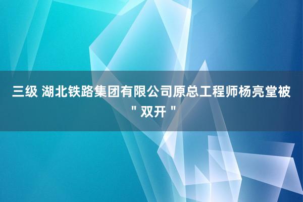 三级 湖北铁路集团有限公司原总工程师杨亮堂被＂双开＂