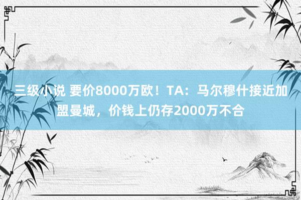 三级小说 要价8000万欧！TA：马尔穆什接近加盟曼城，价钱上仍存2000万不合